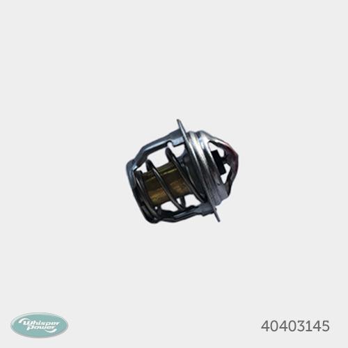 Thermostat - 40403145