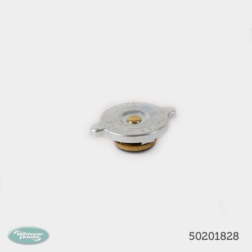 Exhaust Manifold Cap - 50201828